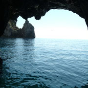 Interno di una grotta - Palinuro [ click to enlarge ]